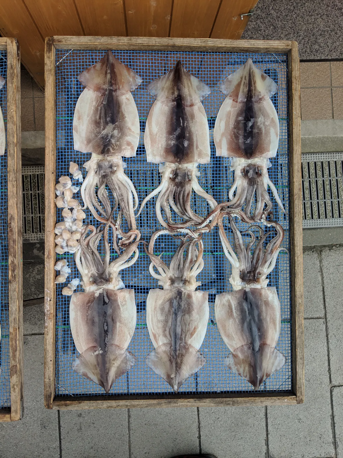 日本 COLOR SCHEMES